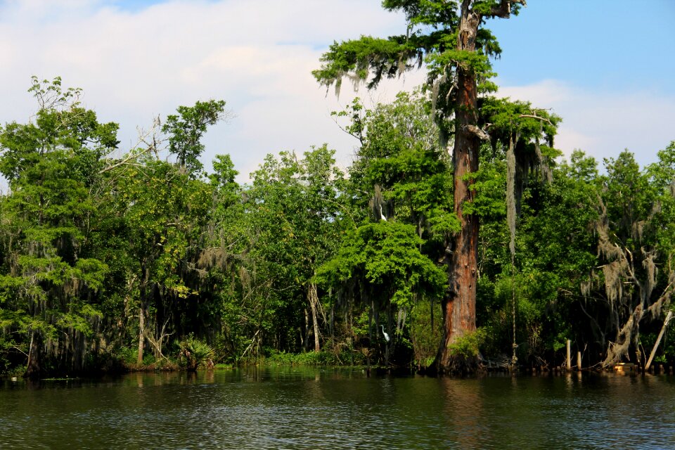 Water louisiana south