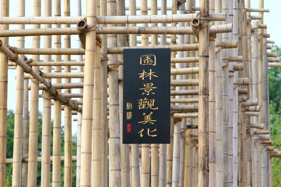 Shield japan scaffold