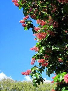 Nature outside sky photo