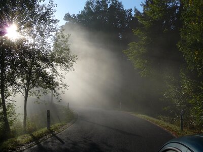 Fog haze road