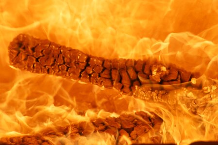 Flame burn brand