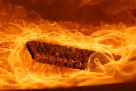 Flame burn brand