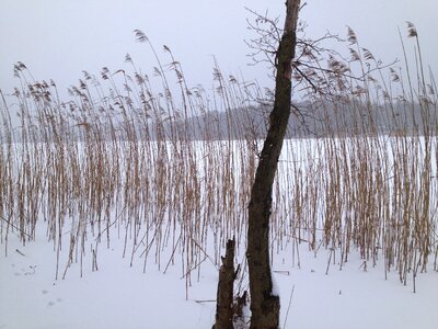 Snow landscape frozen
