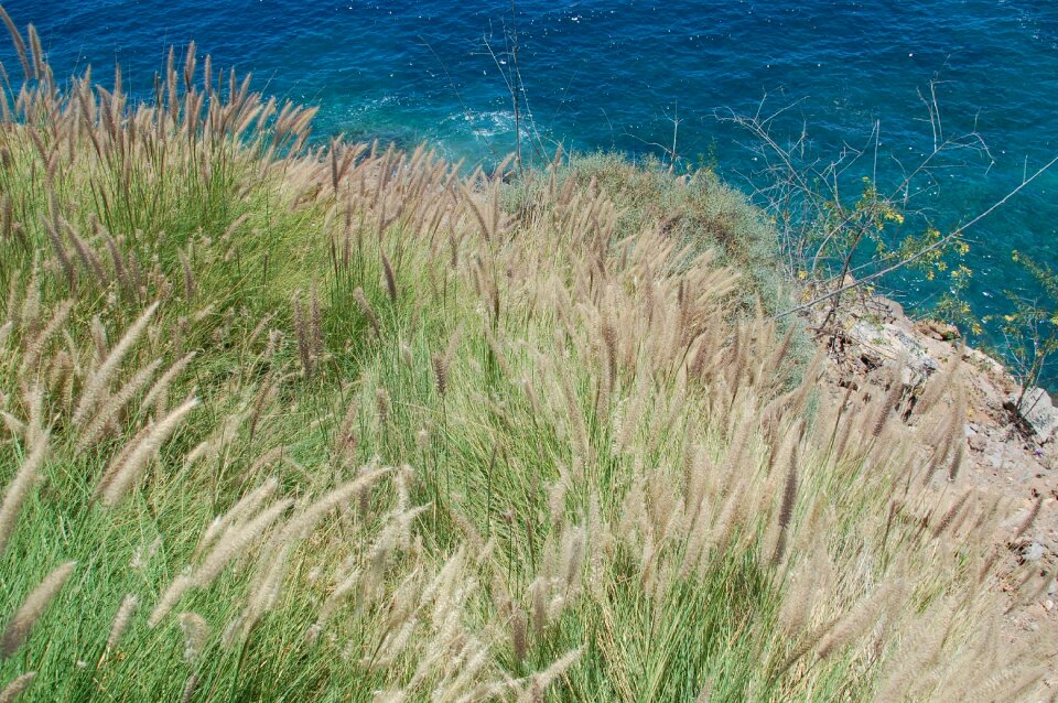 Gran canaria spain island