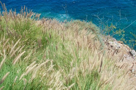 Gran canaria spain island