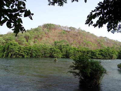 India travel wild