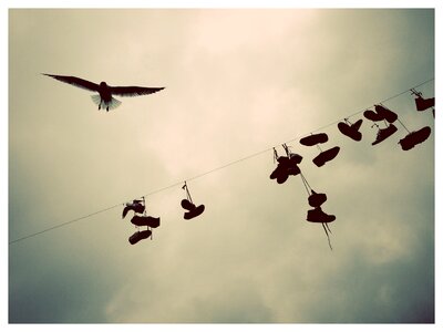 Cord shoes sky photo