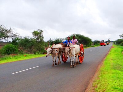 Gadag hubli highway photo