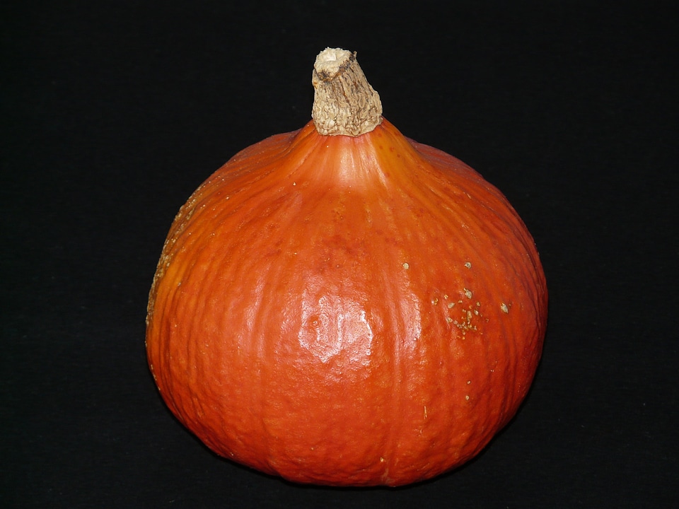 Orange harvest autumn