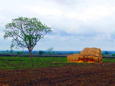 Landscape hay stack harvest photo