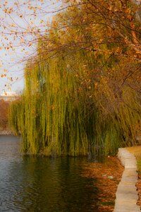 Water fall autumn photo