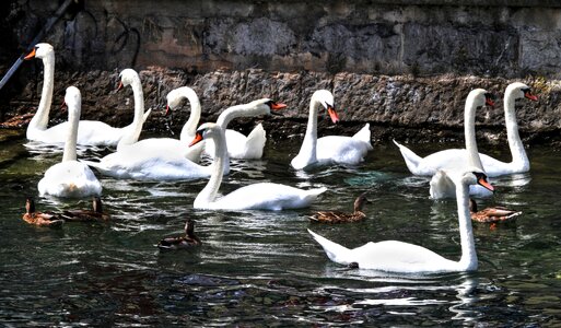 Water waters lake photo