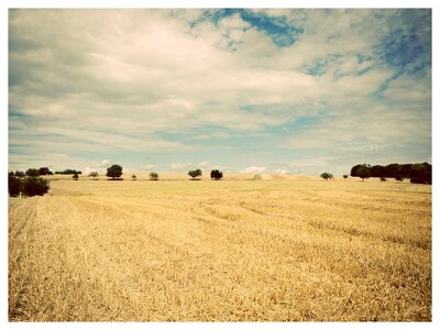 Straw sky blue
