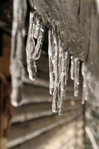 Frozen christmas december