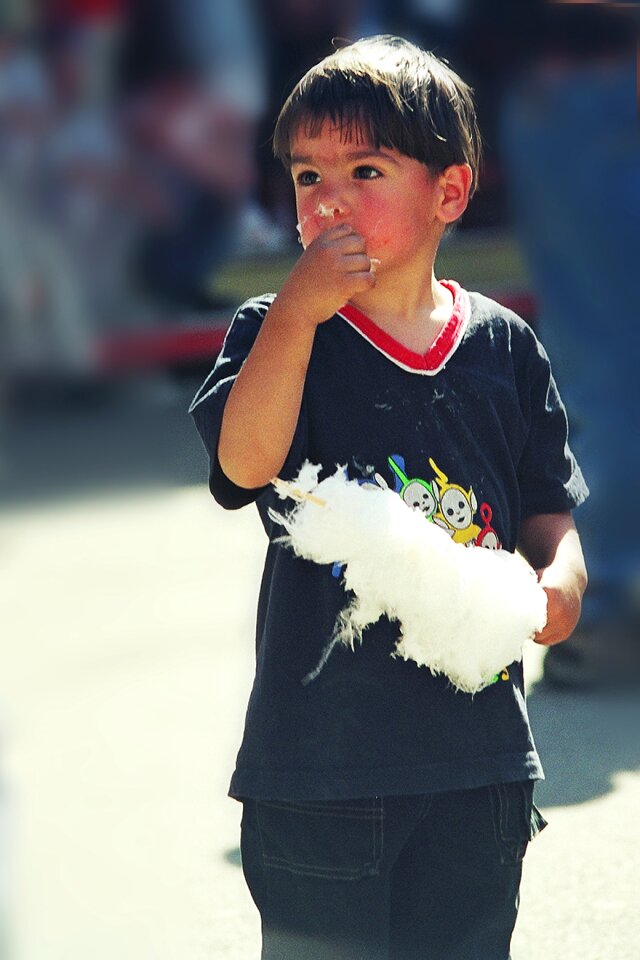 Nibble enjoy folk festival