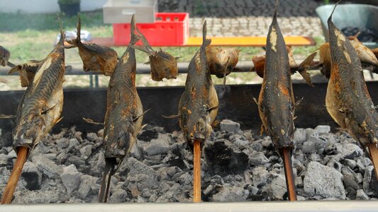 Fish charcoal fire