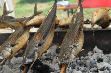 Fish charcoal fire photo
