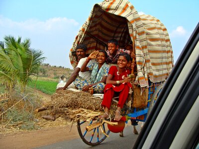 Bullock cart rural india photo