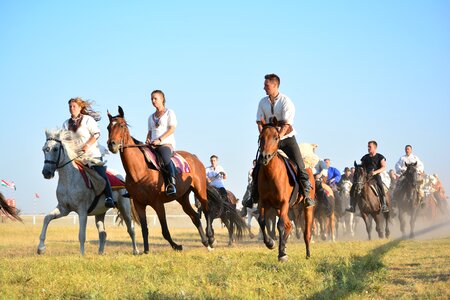 Tradition rider horse riding photo