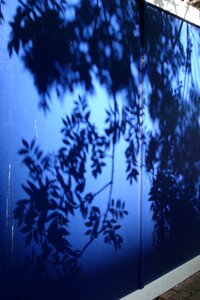 Shadow leaves blue