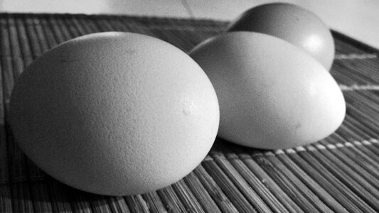Eggs black and white hens