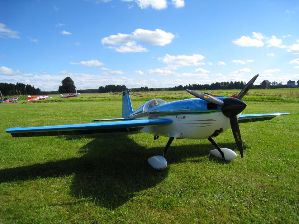 Summer grass sky blue