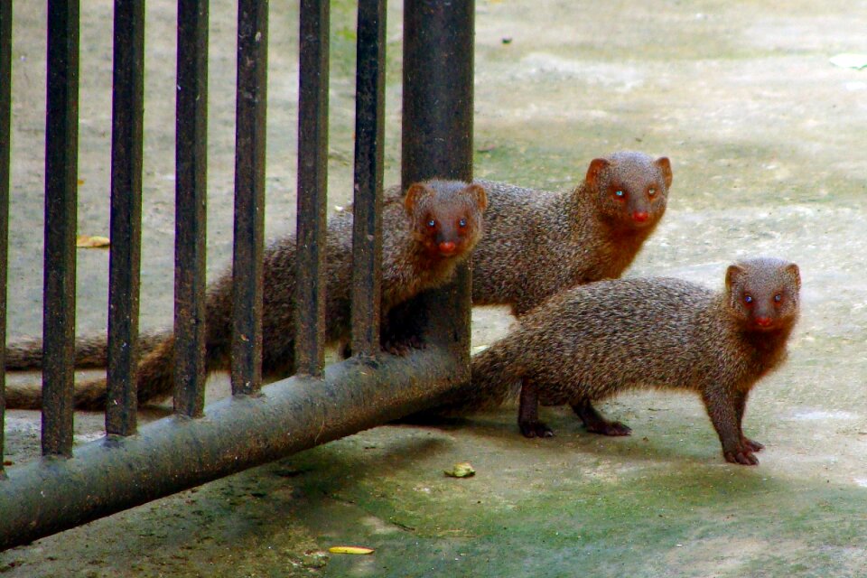 Mom babies baby with mom