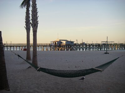 Gulf coast pier palm trees photo