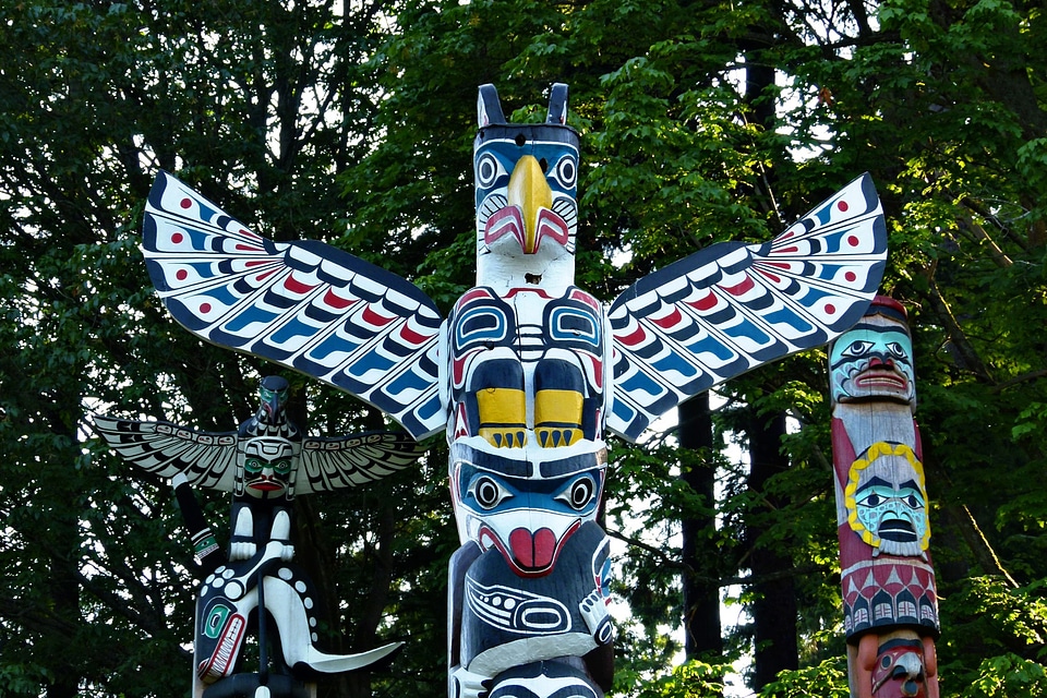 British columbia trees nature