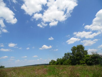 Sun weather tree photo