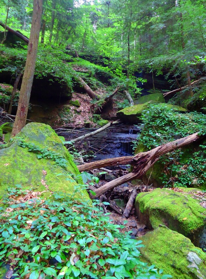 Rock hike scenery