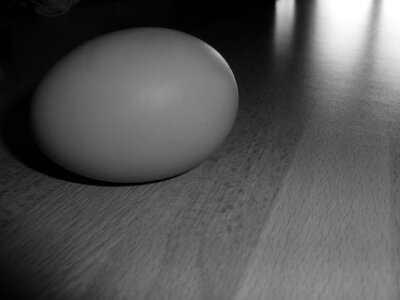 Egg black and white brightness