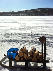 Wood winter snow