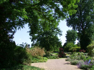 Park spring trees