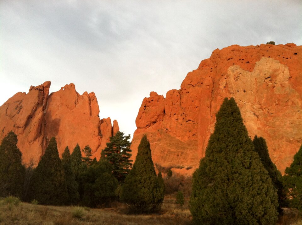 West light nature