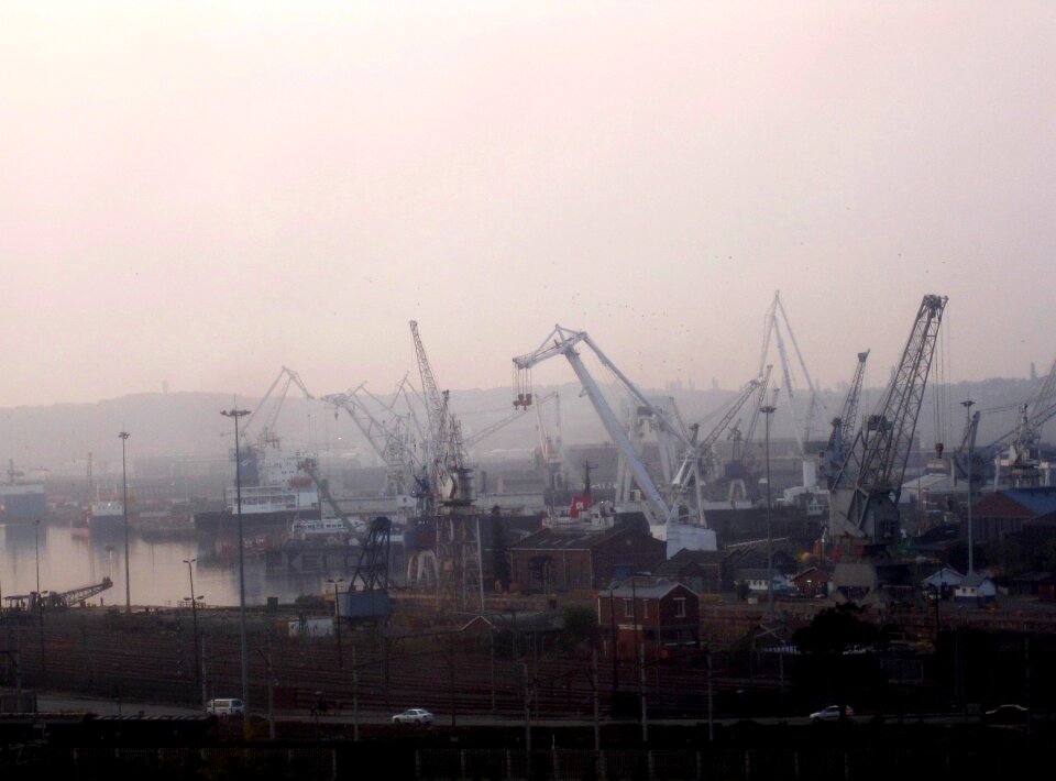 Cranes lilac sky busy