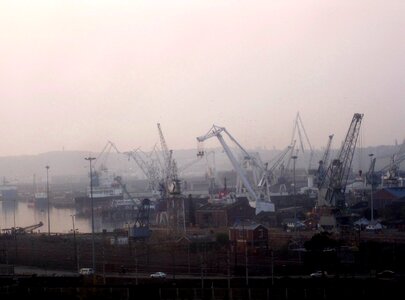 Cranes lilac sky busy