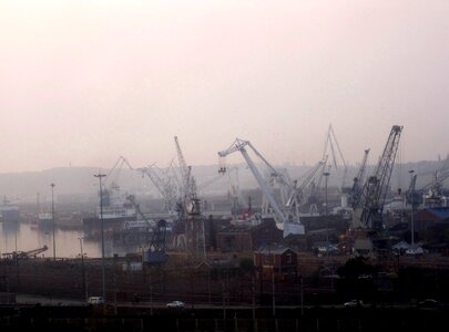 Cranes lilac sky busy photo