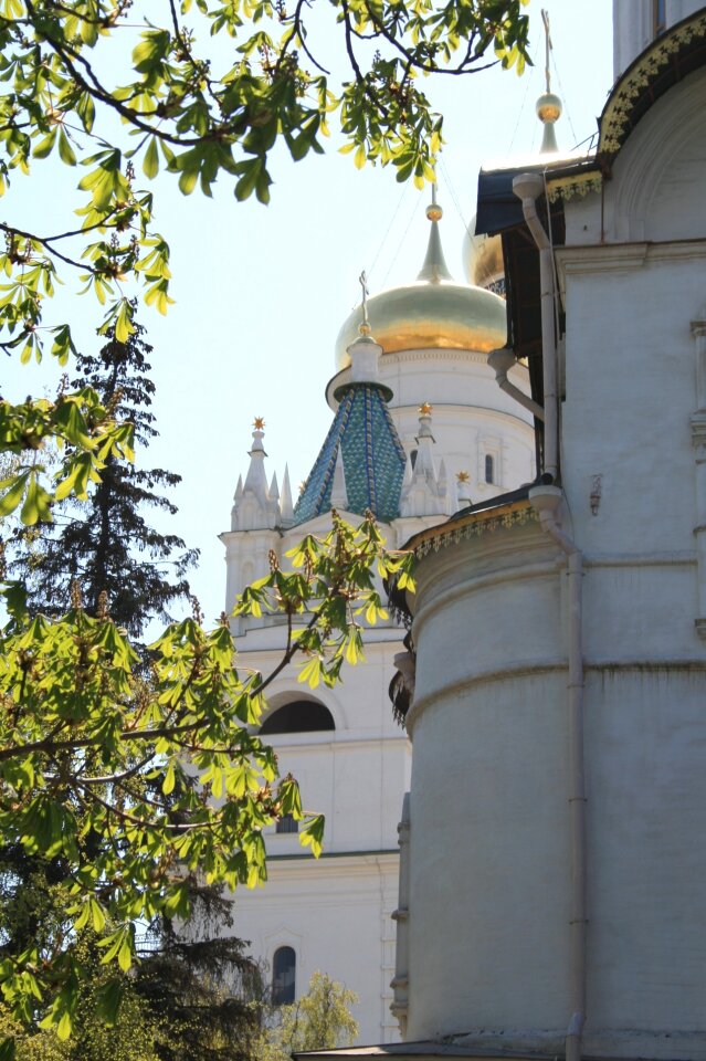 Domes green trees spring