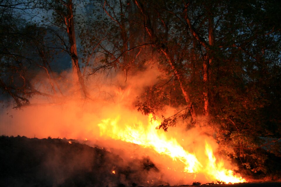 Spreading smoke trees burning