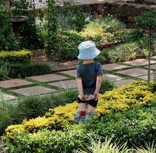 Foliage path paving