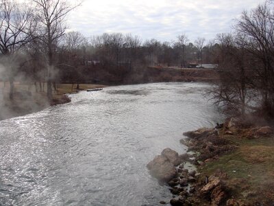 Trees creek flow photo