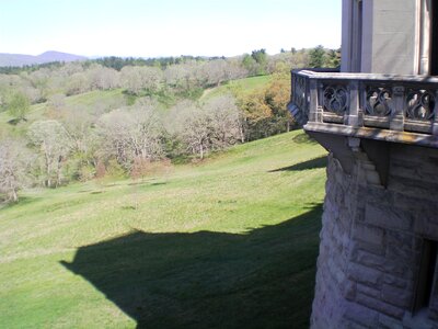 View nature