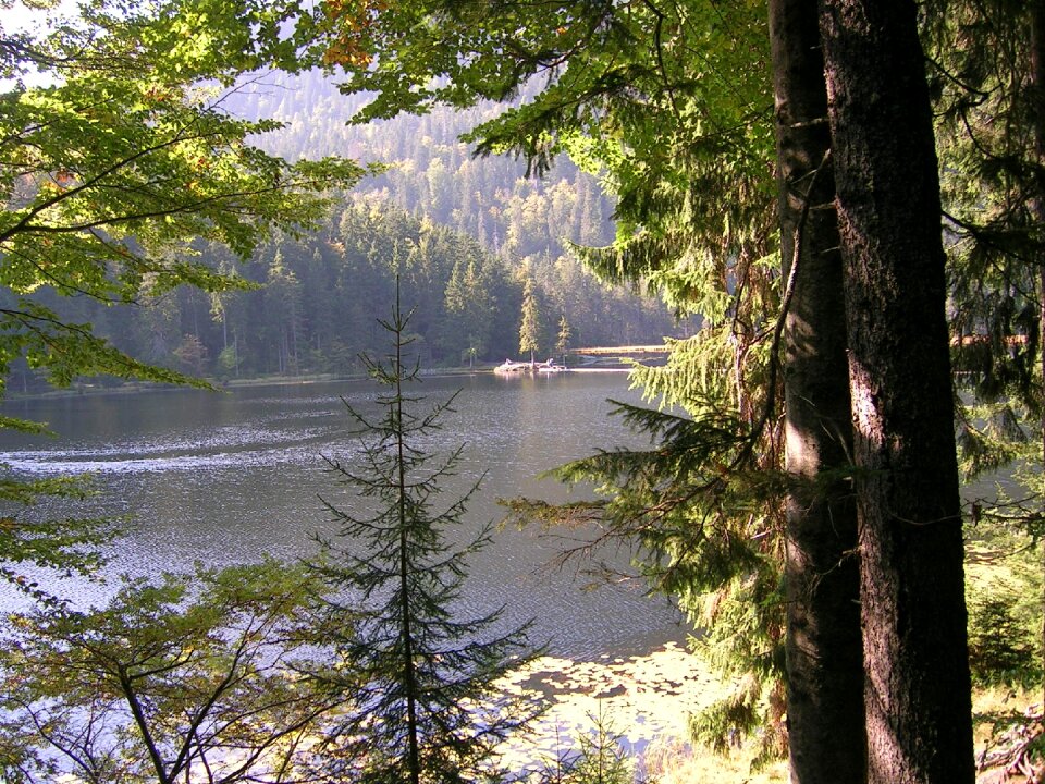 Bergsee rest landscape