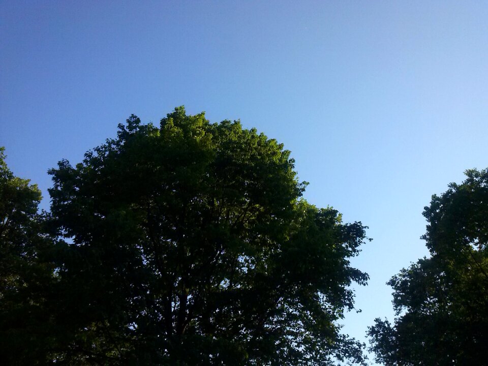 Sun nature seasons