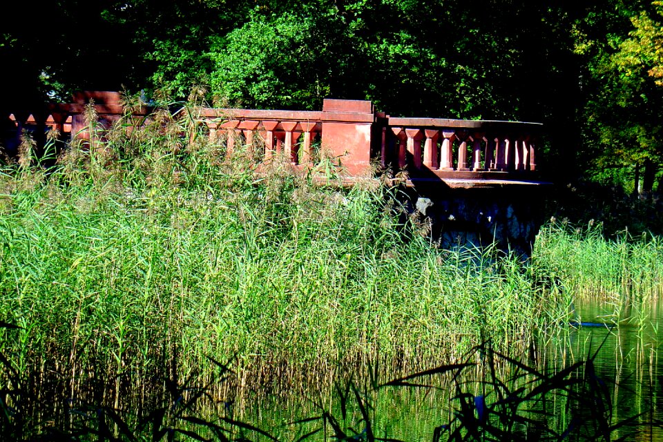 Reed castle park park