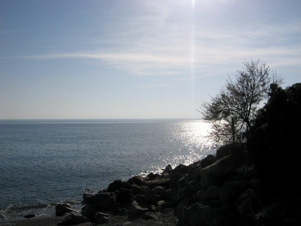 Beach rocks trees