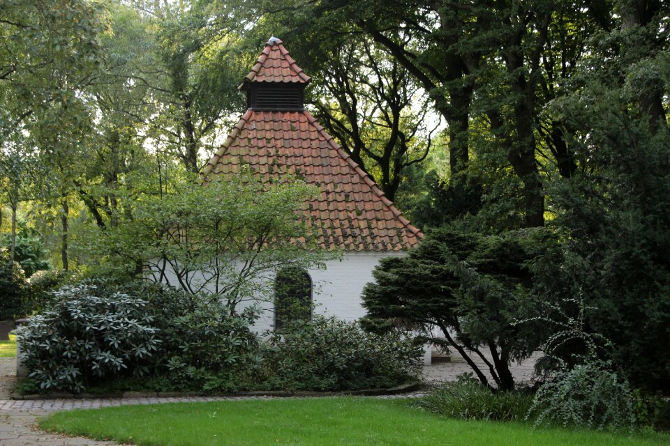 Architecture house trees