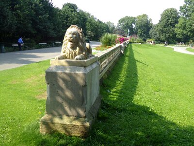 Sunderland lions