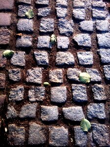 Structures ground paving stones photo